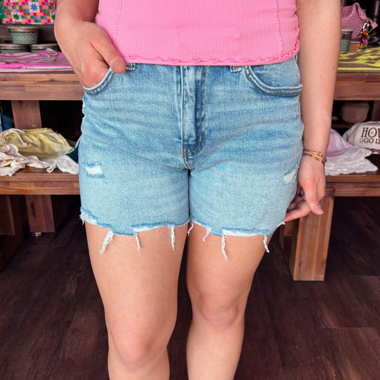 Vervet by Flying Monkey High Rise Distressed Shorts