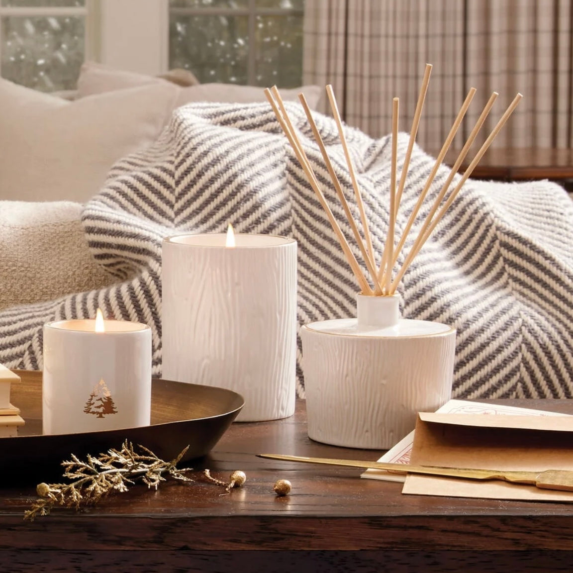 Frasier Fir Gilded Ceramic Poured Candle