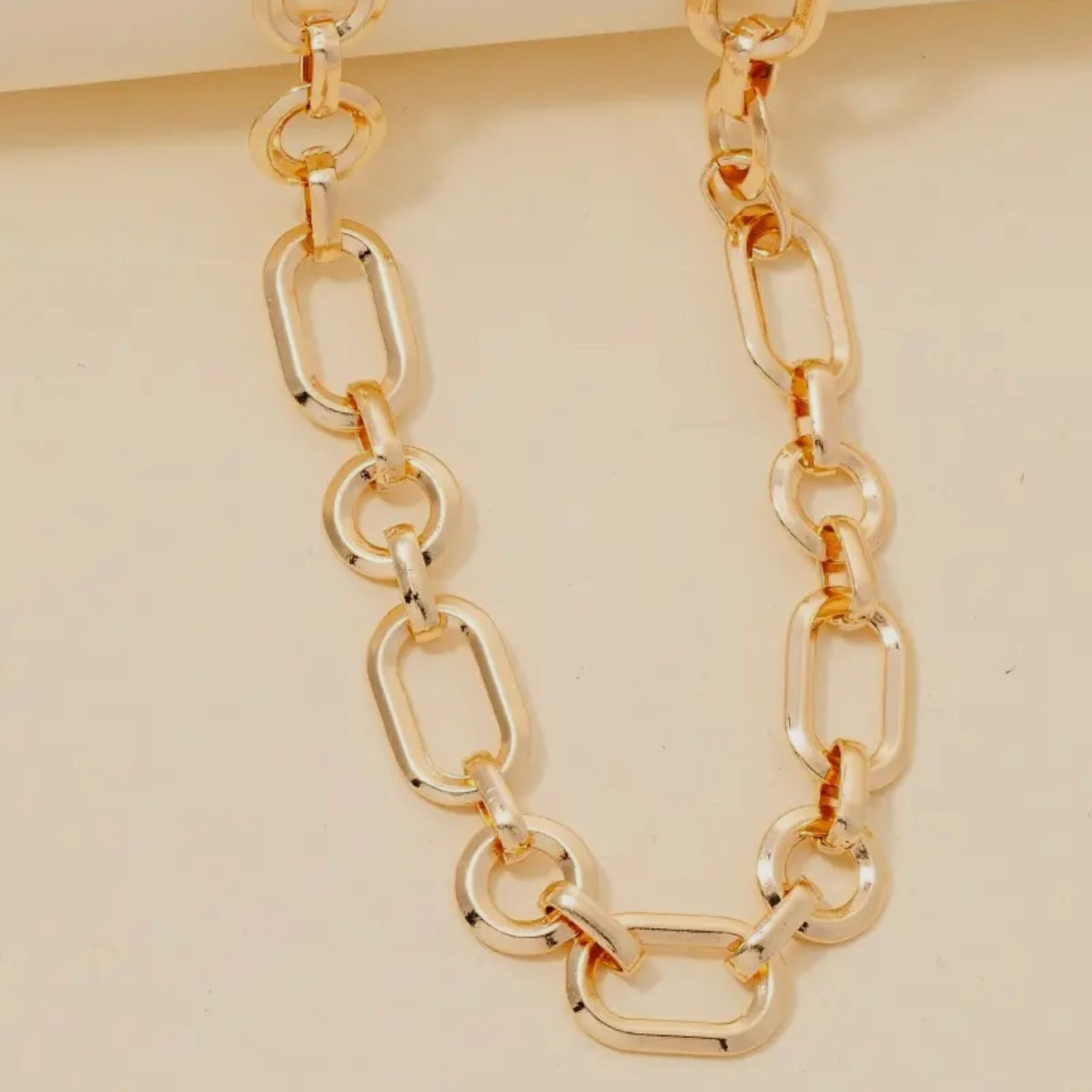 Oval & Hoop Chain Link Necklace
