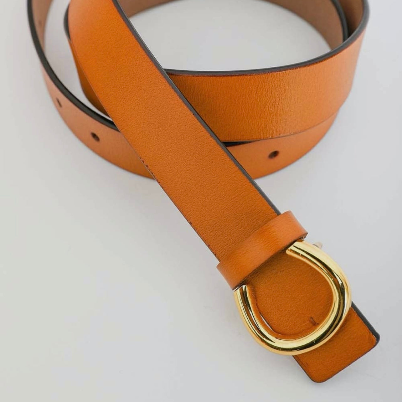 Minimalist Gold Horseshoe Belt