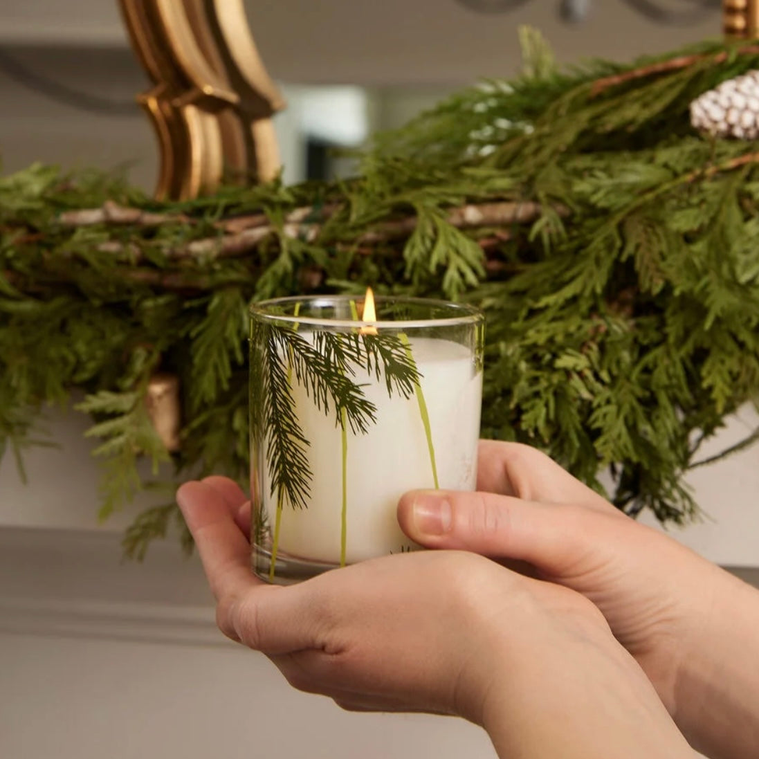 Frasier Fir Poured Candle 6.5 oz Pine Needle