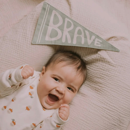 Brave Canvas Pennant