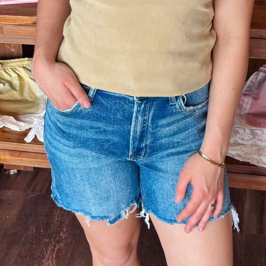Vervet by Flying Monkey High Rise Boyfriend Shorts
