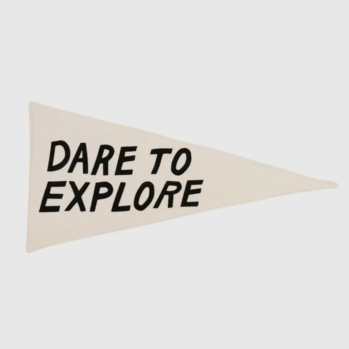 Dare to Explore Canvas Pennant