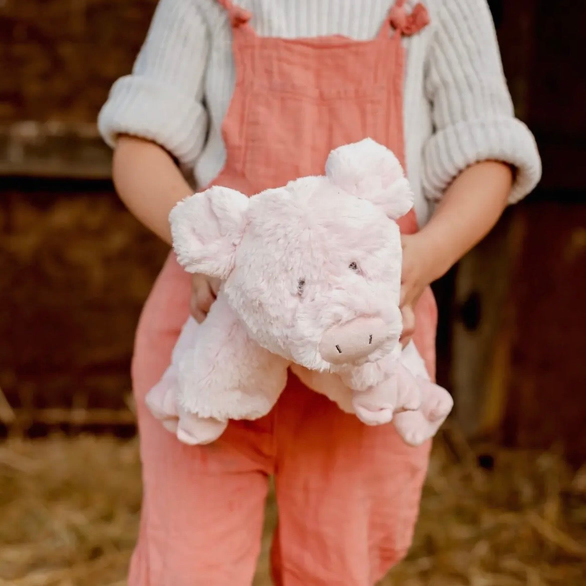 Peachy Pig Soft Toy