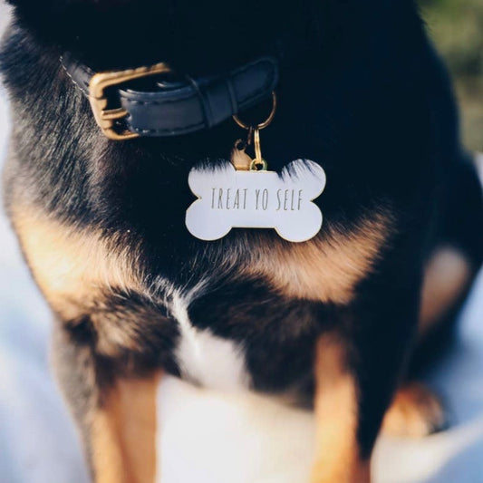 Pet Id Tag