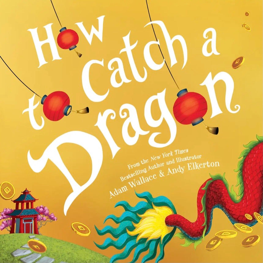How To Catch A Dragon Book