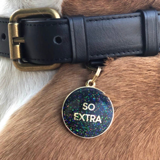 Pet Id Tag
